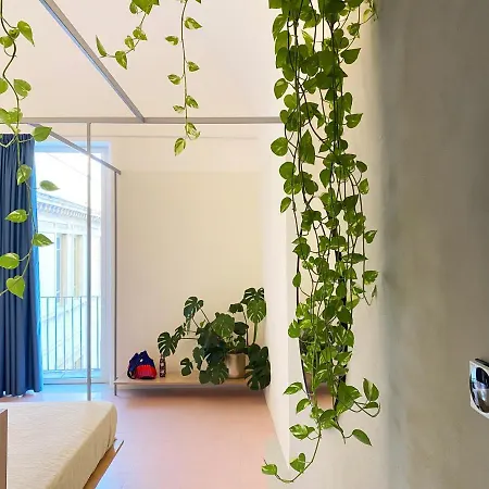 Zahara Bed and Breakfast Κατάνια