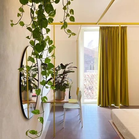 Zahara Κατάνια